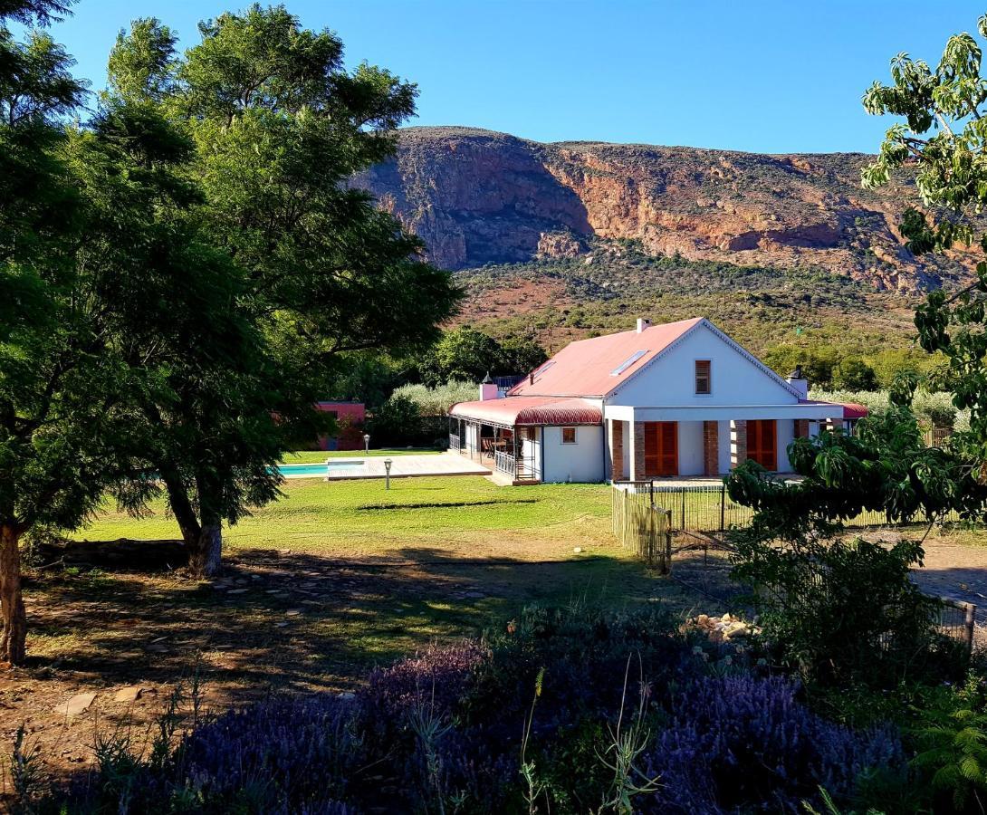 Baviaanskloof Landhuis Studtis ภายนอก รูปภาพ