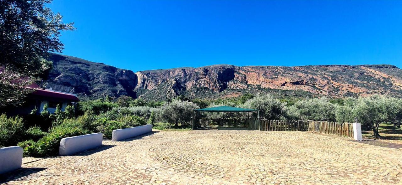 Baviaanskloof Landhuis Studtis ภายนอก รูปภาพ